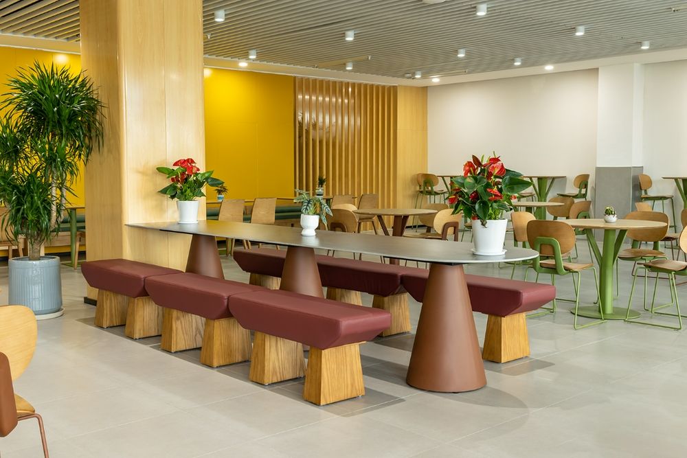 深圳市坪山區(qū)未來學校