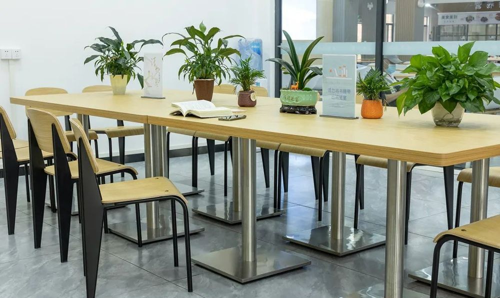 廣東東軟學(xué)院