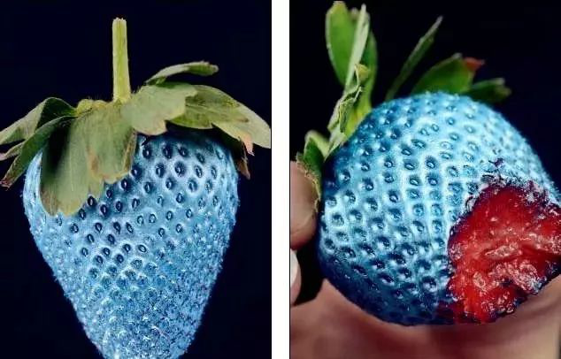 可食用噴漆 可食用噴漆